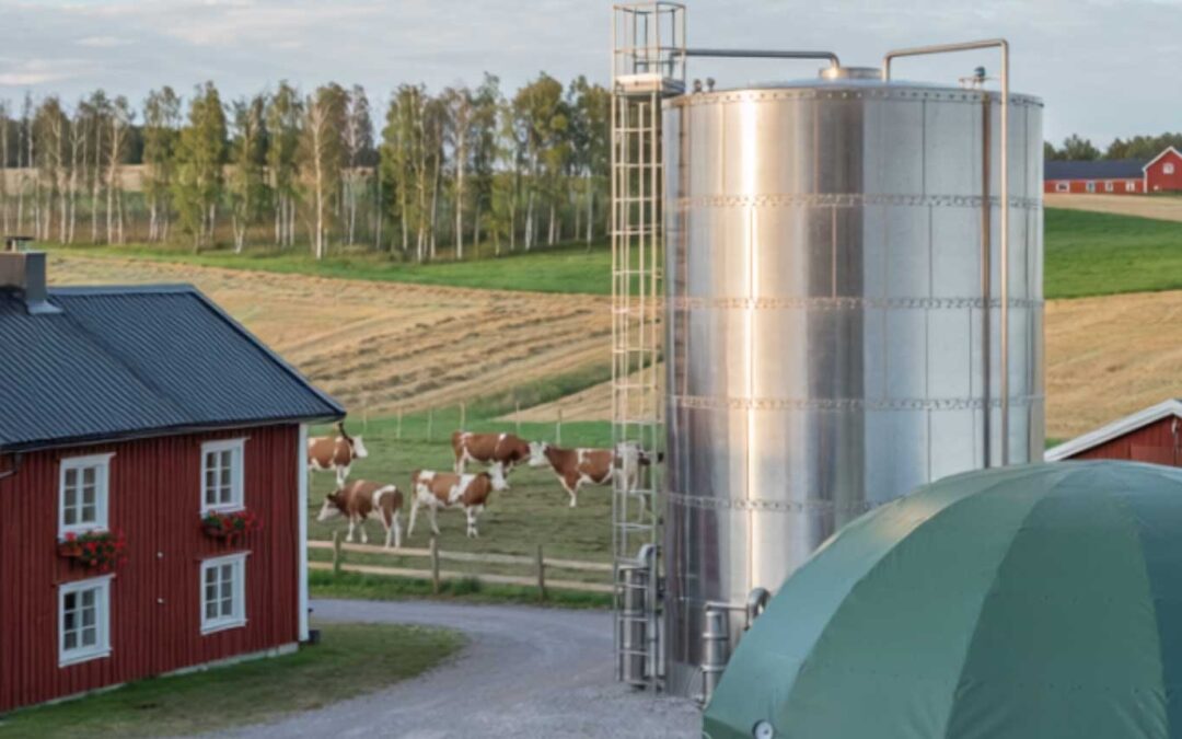 Sök stöd från klimatklivet till lantbruk och biogas
