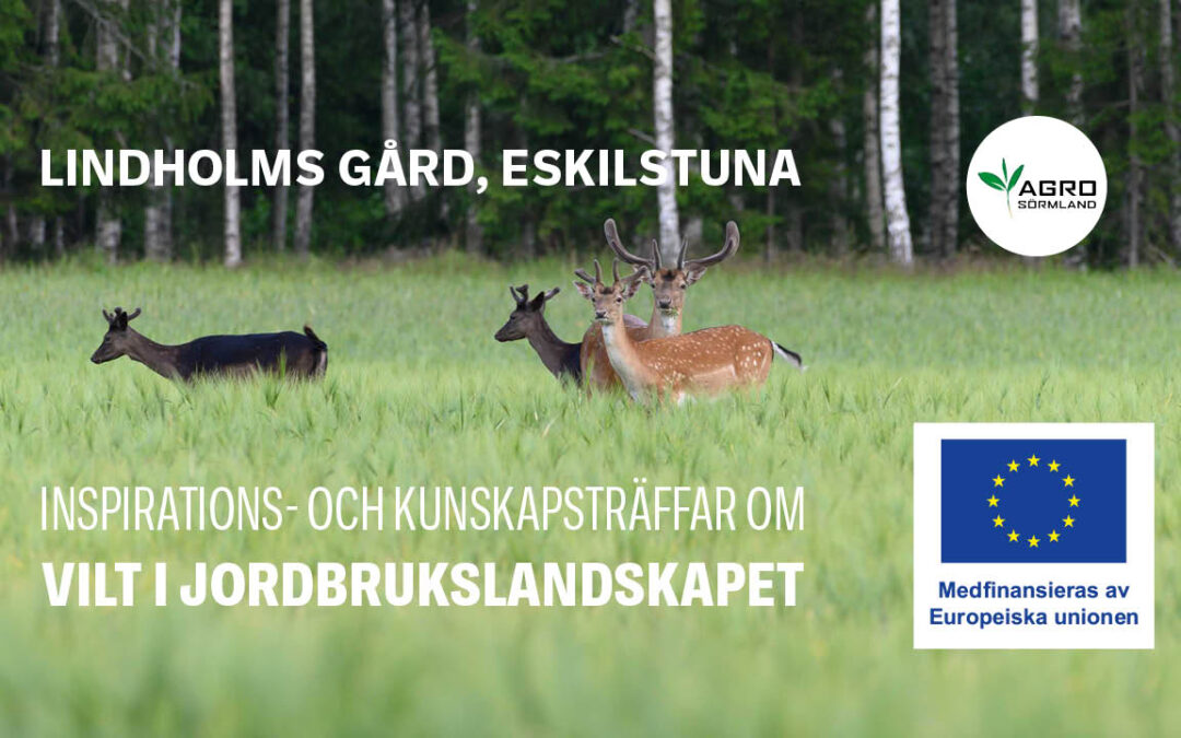 Inspirations- och kunskapsträff om vilt i jordbrukslandskapet
